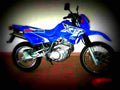 Yamaha XT 600 E 2002 1 motorbike A4 Photo Print