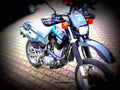 Yamaha XT 600 K 1992 5 motorbike A4 Photo Print