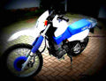Yamaha XT 600 K 1994 2 motorbike A4 Photo Print