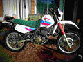 Yamaha XT 600 K (reduced effect) 1992 3 motorbike A4 Photo Print