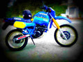 Yamaha XT 600 Tenere 1983 6 motorbike A4 Photo Print