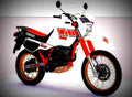Yamaha XT 600 Tenere 1984 6 motorbike A4 Photo Print