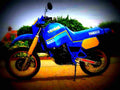 Yamaha XT 600 Tenere 1987 6 motorbike A4 Photo Print