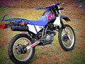 Yamaha XT 600 Z Tenere (reduced effect) 1988 2 motorbike A4 Photo Print