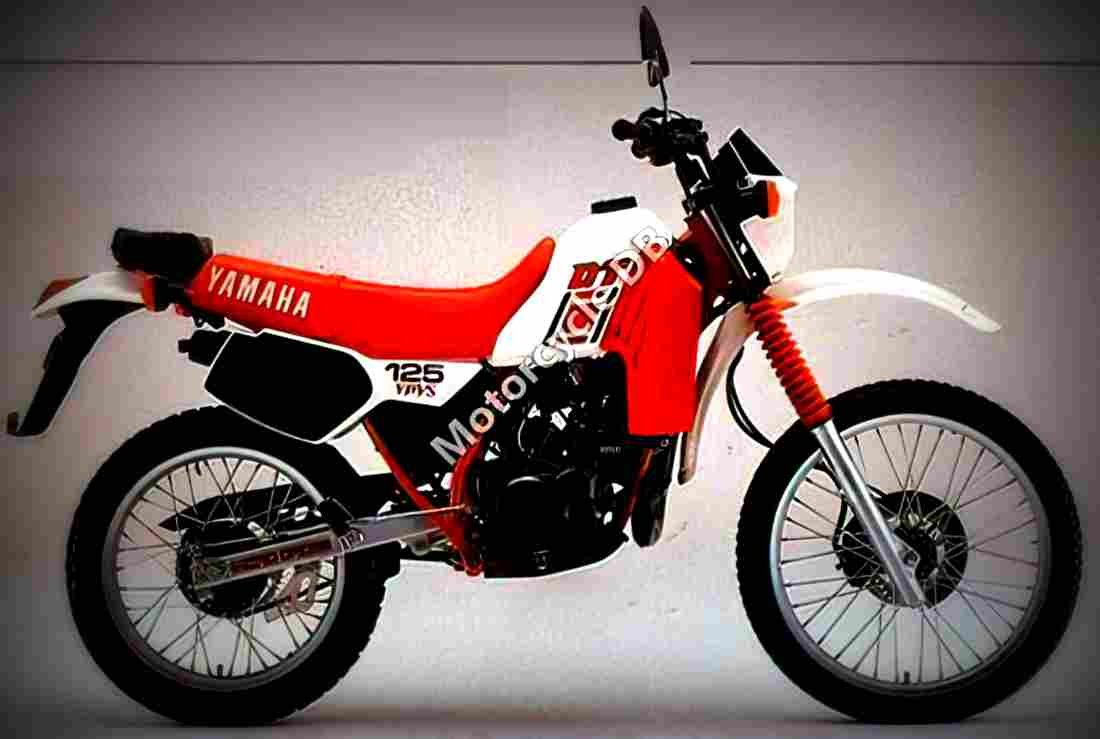 Yamaha XT 600 (reduced effect) 1984 2 motorbike A4 Photo Print