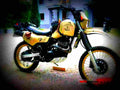 Yamaha XT 600 (reduced effect) 1986 4 motorbike A4 Photo Print