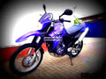 Yamaha XT 660 R 2005 2 motorbike A4 Photo Print