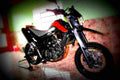 Yamaha XT 660 R 2005 4 motorbike A4 Photo Print