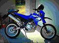 Yamaha XT125 R XT125 R 6 motorbike A4 Photo Print