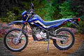 Yamaha XT250 2017 2 motorbike A4 Photo Print