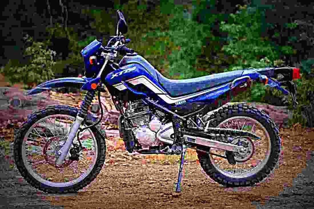 Yamaha XT250 2017 2 motorbike A4 Photo Print