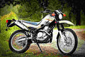 Yamaha XT250 2018 1 motorbike A4 Photo Print