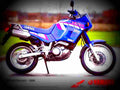 Yamaha XTZ 660 Tenere 1992 4 motorbike A4 Photo Print