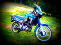 Yamaha XTZ 660 Tenere 1992 6 motorbike A4 Photo Print