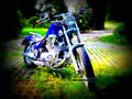 Yamaha XV 1000 Virago 1986 5 motorbike A4 Photo Print