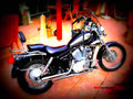Yamaha XV 125 Virago 1997 5 motorbike A4 Photo Print