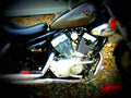 Yamaha XV 125 Virago 1998 2 motorbike A4 Photo Print