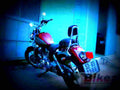 Yamaha XV 125 Virago 1998 5 motorbike A4 Photo Print