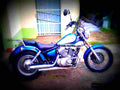 Yamaha XV 125 Virago 1999 1 motorbike A4 Photo Print