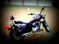 Yamaha XV 125 Virago 1999 3 motorbike A4 Photo Print