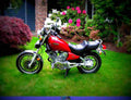 Yamaha XV 500 SE 1985 4 motorbike A4 Photo Print