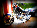 Yamaha XV 500 SE 1987 1 motorbike A4 Photo Print