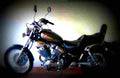 Yamaha XV 535 DX Virago 2001 3 motorbike A4 Photo Print