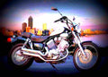 Yamaha XV 535 DX Virago 2001 5 motorbike A4 Photo Print