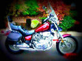Yamaha XV 535 DX Virago 2001 6 motorbike A4 Photo Print
