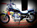 Yamaha XV 535 DX Virago 2002 6 motorbike A4 Photo Print