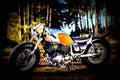 Yamaha XV 535 Virago 1996 2 motorbike A4 Photo Print