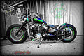 Yamaha XVS 250 Drag Star V Star 250 4 motorbike A4 Photo Print