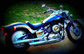 Yamaha XVS 650 Drag Star Custom 2001 1 motorbike A4 Photo Print