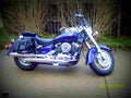 Yamaha XVS 650 Silverado 2003 5 motorbike A4 Photo Print