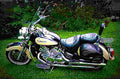 Yamaha XVZ 1300 A Royal Star 1996 5 motorbike A4 Photo Print