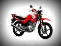 Yamaha YBR 110 2018 4 motorbike A4 Photo Print