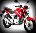 Yamaha YBR 250 250cc 1 motorbike A4 Photo Print