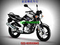 Yamaha YBR 250 250cc 5 motorbike A4 Photo Print