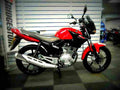 Yamaha YBR125 2018 1 motorbike A4 Photo Print