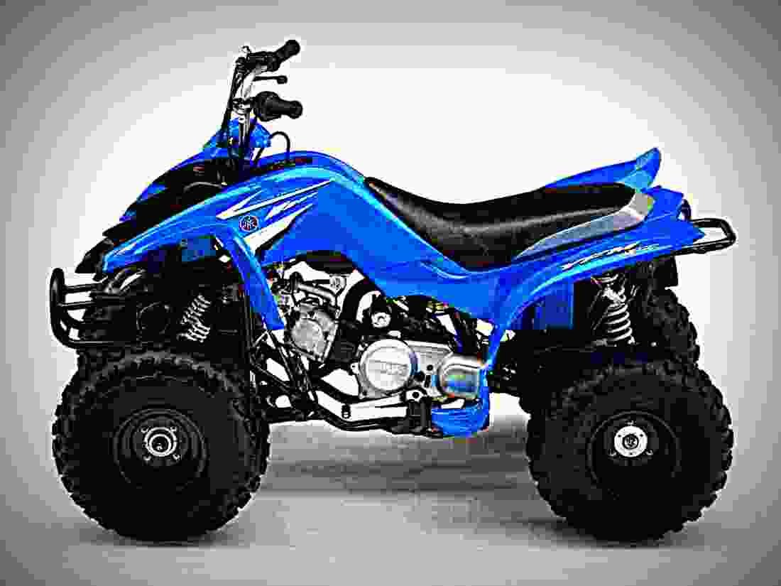 Yamaha YFM 80 2008 1 motorbike A4 Photo Print