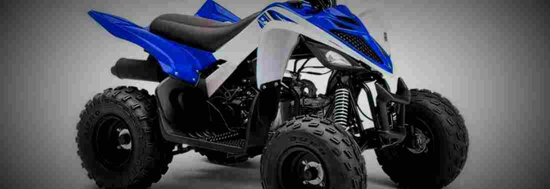 Yamaha YFM90R 2017 1 825x284 motorbike A4 Photo Print