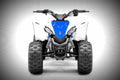 Yamaha YFZ50 2017 1 motorbike A4 Photo Print