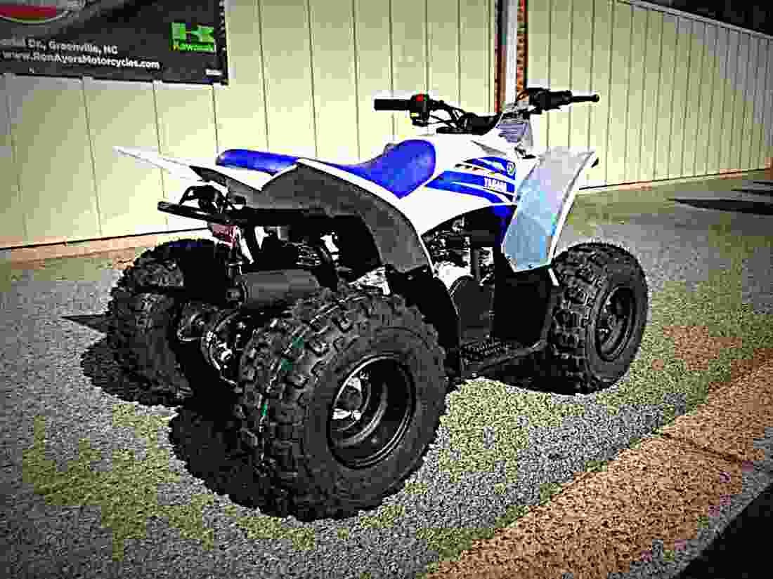 Yamaha YFZ50 2018 4 motorbike A4 Photo Print