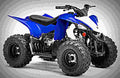 Yamaha YFZ50 2019 1 motorbike A4 Photo Print