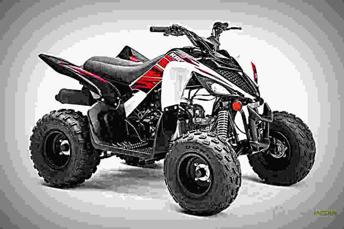 Yamaha YFZ50 2019 2 motorbike A4 Photo Print