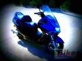Yamaha YP 250 Majesty Deluxe 1999 6 motorbike A4 Photo Print