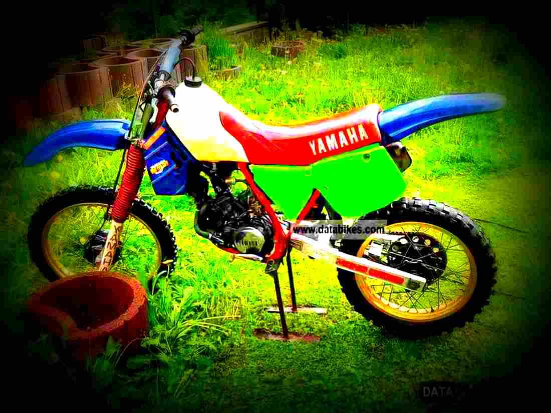 Yamaha YZ 125 125cc 5 motorbike A4 Photo Print