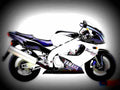 Yamaha YZF 1000 R Thunderace 2000 2 motorbike A4 Photo Print