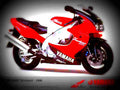 Yamaha YZF 1000 R Thunderace 2000 4 motorbike A4 Photo Print