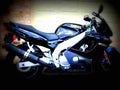 Yamaha YZF 600 R 1999 1 motorbike A4 Photo Print